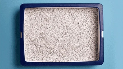 Klumpende oder nicht klumpende Katzenstreu Ein Überblick